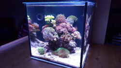 Aquarium Becken 32407