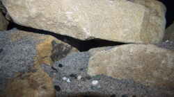 Felsspalte