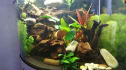 Aquarium Becken 32610