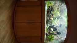 Aquarium Mittel-, Südamerika Trigon 350