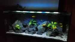 Aquarium Becken 32694