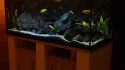 Aquarium Becken 32694