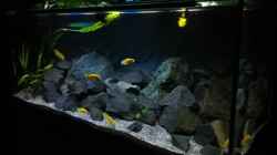 Aquarium Becken 32694