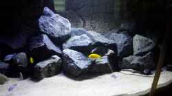 Aquarium Becken 32731