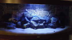 Aquarium Becken 32731