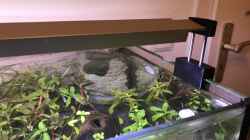 Scaping-Light Basiv Vario LED-Halter kippt die Scaping-Light Basic LED und erhöht