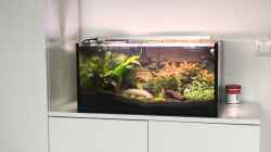 Aquarium Westafrika