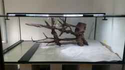 Aquarium Predator Tank (Nur noch als Beispiel)