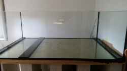 Aquarium Predator Tank (Nur noch als Beispiel)