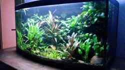 Aquarium Becken 33190
