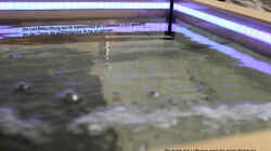 Technik im Aquarium Couchtisch Aquarium