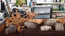 Hardscapeversuch