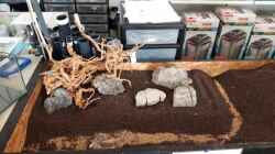 Hardscapeversuch