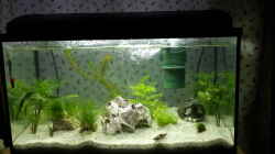 Aquarium Mein Startbecken (existiert nicht mehr)