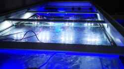 Technik im Aquarium Becken 33432
