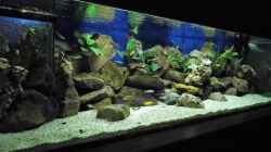 Aquarium Becken 33697