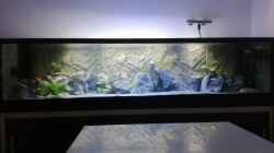 Aquarium Becken 33718