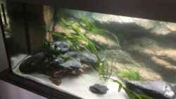 Aquarium Becken 33795