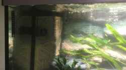 Aquarium Becken 33795