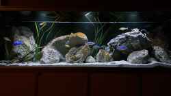 Aquarium blue malawi (wurde aufgelöst)