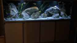 Aquarium blue malawi (wurde aufgelöst)