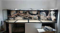 Dekoration im Aquarium 4.500l-Becken