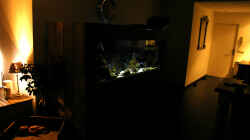 Aquarium in livingroom 