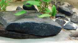 Basalt in verschiedenen Größen