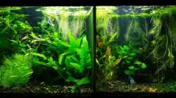 Aquarium Becken 34165