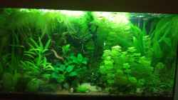 Aquarium Becken 34170