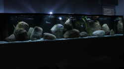 Aquarium 2900l Malawi-Räuberbecken