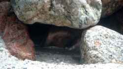 Höhle 1