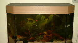 Aquarium Becken 3509