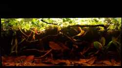 Aquarium Eheim Vivaline LED 180