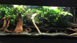 Aquarium Trübstadt