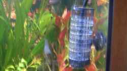 Technik im Aquarium Becken 3690