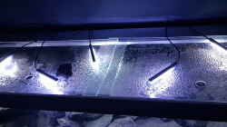 Anordnung LED Balken