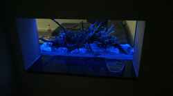 Aquarium Aquarium Projekt