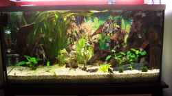 Aquarium Becken 3767