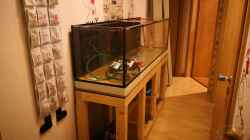 Aquarium Becken 37888