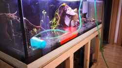 Aquarium Becken 37888