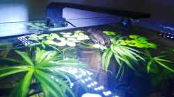 Chihiros LED System Serie C 251