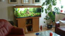 Im Wohnzimmer