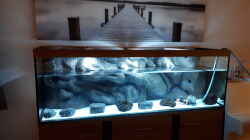 Füllen des Aquariums