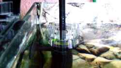 Fluval- Oberflächenabsauger
