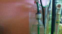 CO 2 Reaktor mit Waschflasche