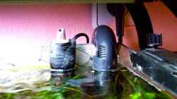 Theo Heater Stabheizer 50 Watt