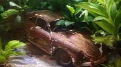 Dekoration im Aquarium Lost Car -  Fluval Edge I