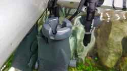 Skimmer