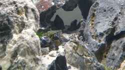 Dekoration im Aquarium Another World